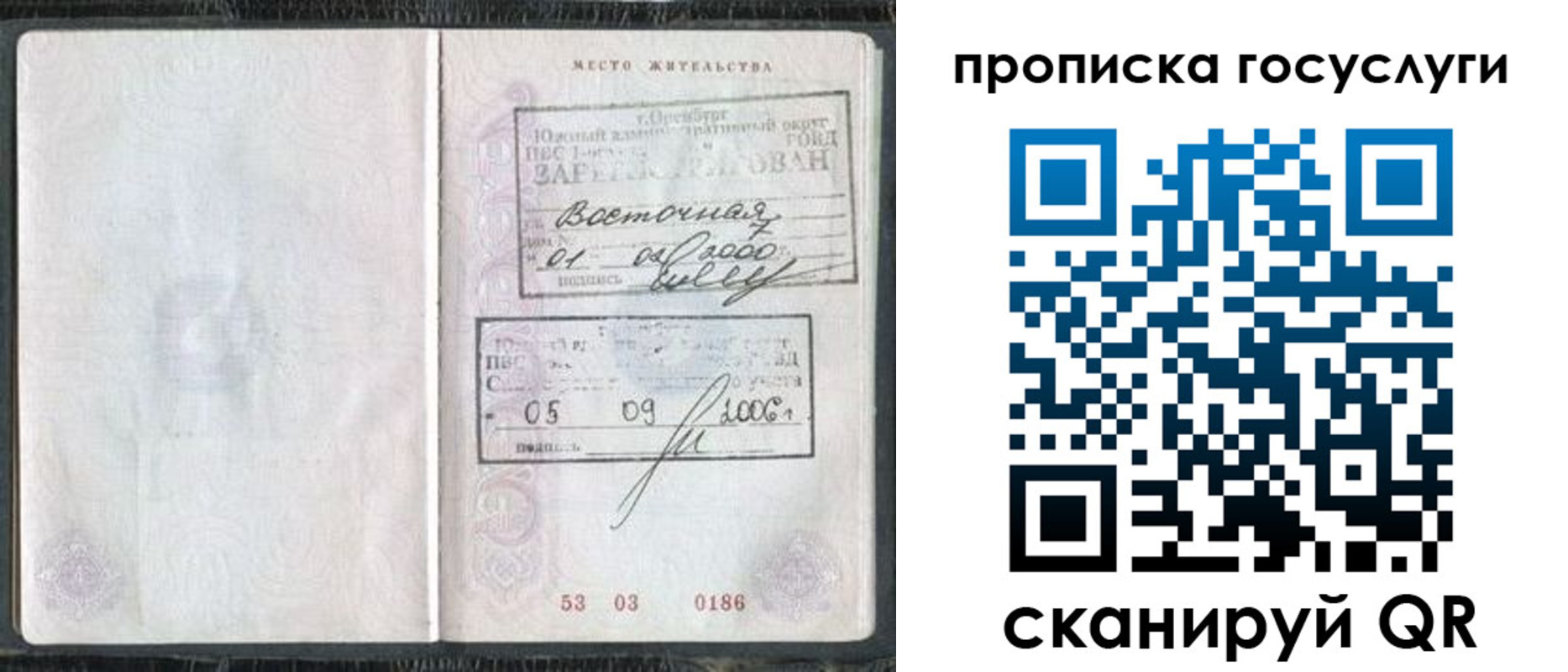 временная регистрация для школы в Александровске-Сахалинском